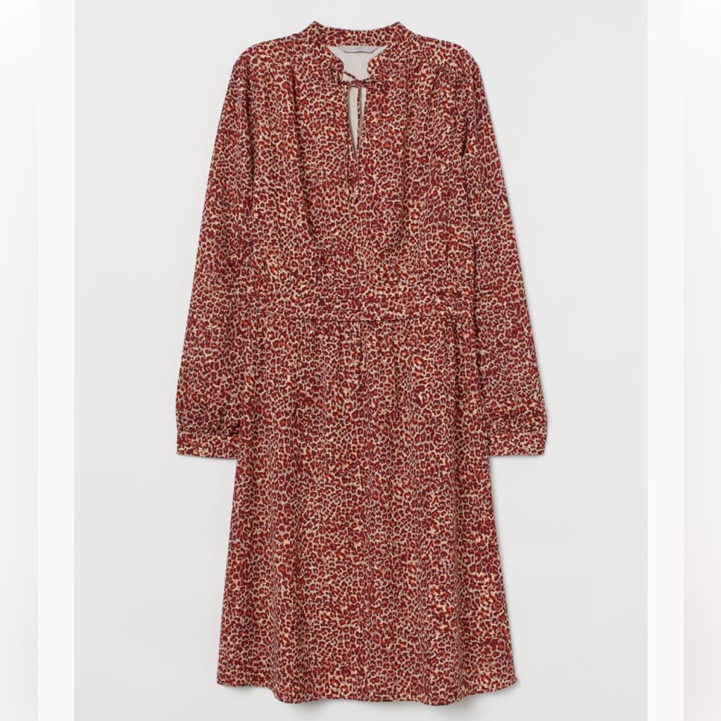 H&M Brown And Burnt Orange Long Sleeve Leopard Print Dress
